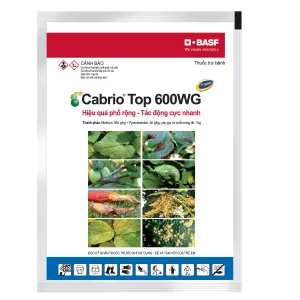 Cabrio® Top 600WG