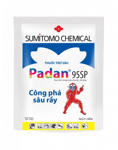 3d-padan