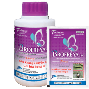 Brofreya 5SC