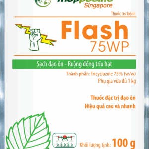 Flash 75WP