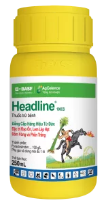 Headline® 100CS