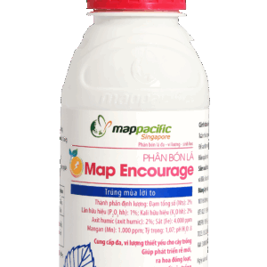 Map Encourage