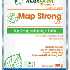 Map Strong 3WP