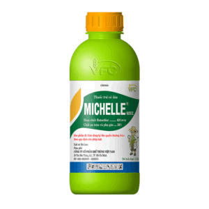 MICHELLE 62EC