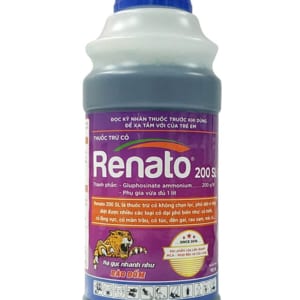 Renato 200SL