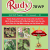 RUDY 78WP