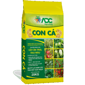 Con Cá