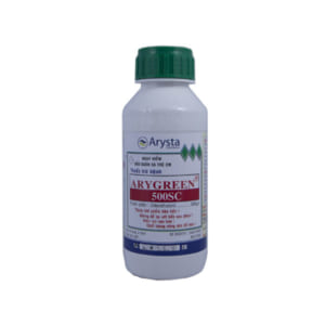 ARYGREEN