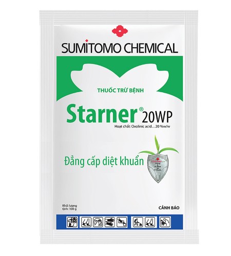 starner-1