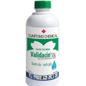 Validacin 5SL
