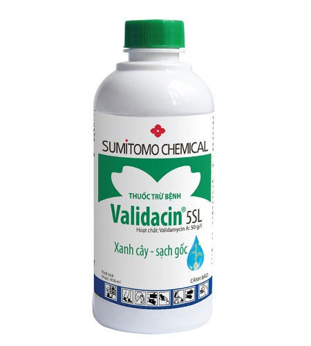 validacin